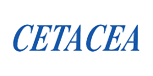 Cetacea