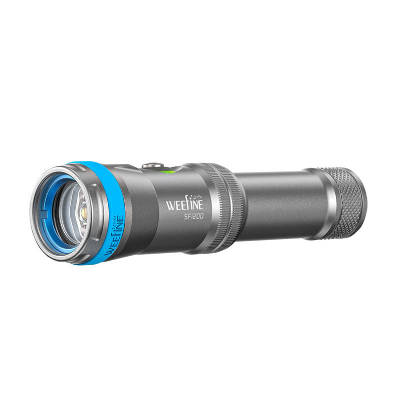 Weefine Smart Focus 1200FR Photo Light