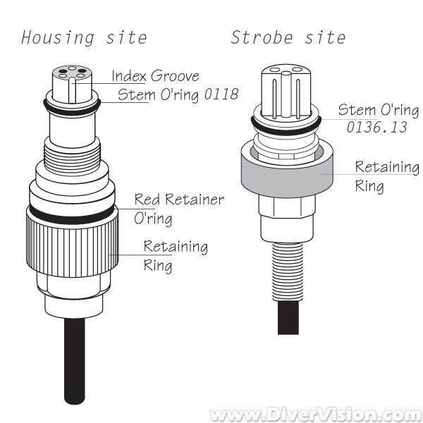 Ikelite Dual Sync Cord for Housing (Nikonos N5) to Ikelite DS Strobe (x2, non-TTL)